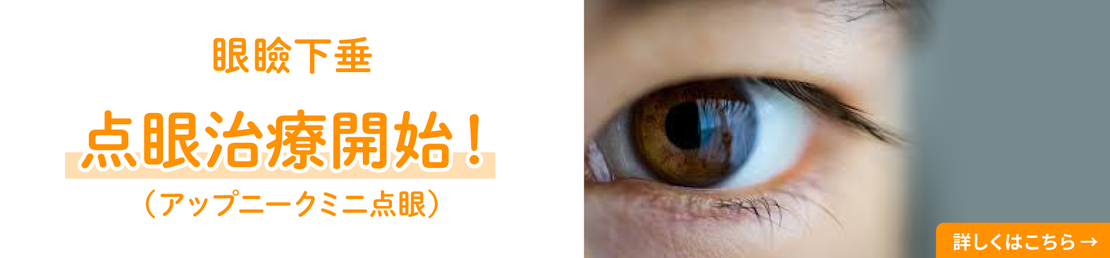���ى��� �_�Ꭱ�ÊJ�n�I�i�A�b�v�j�[�N�~�j�_��j
