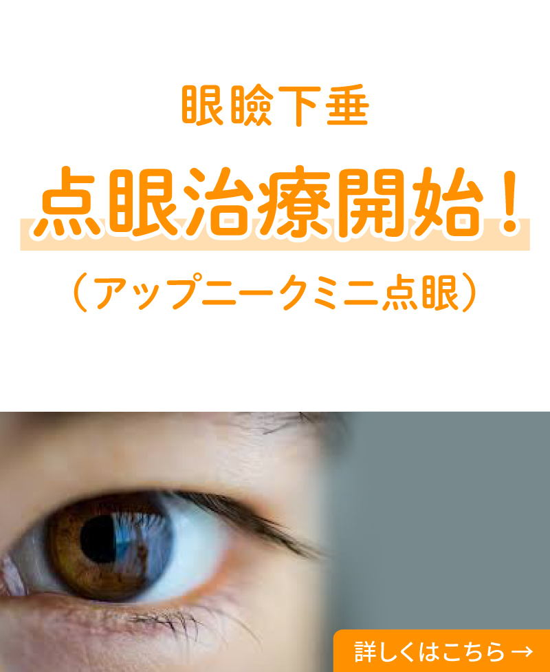 ���ى��� �_�Ꭱ�ÊJ�n�I�i�A�b�v�j�[�N�~�j�_��j