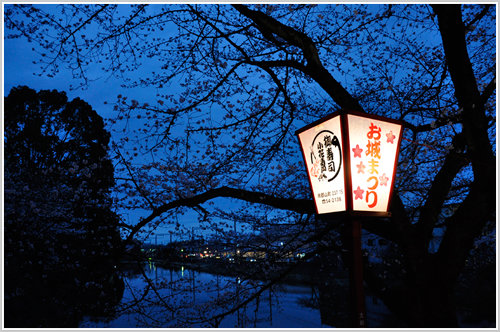 郡山城址の夜桜の写真