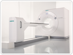 PETzPET-CT V[X Biograph Horizon